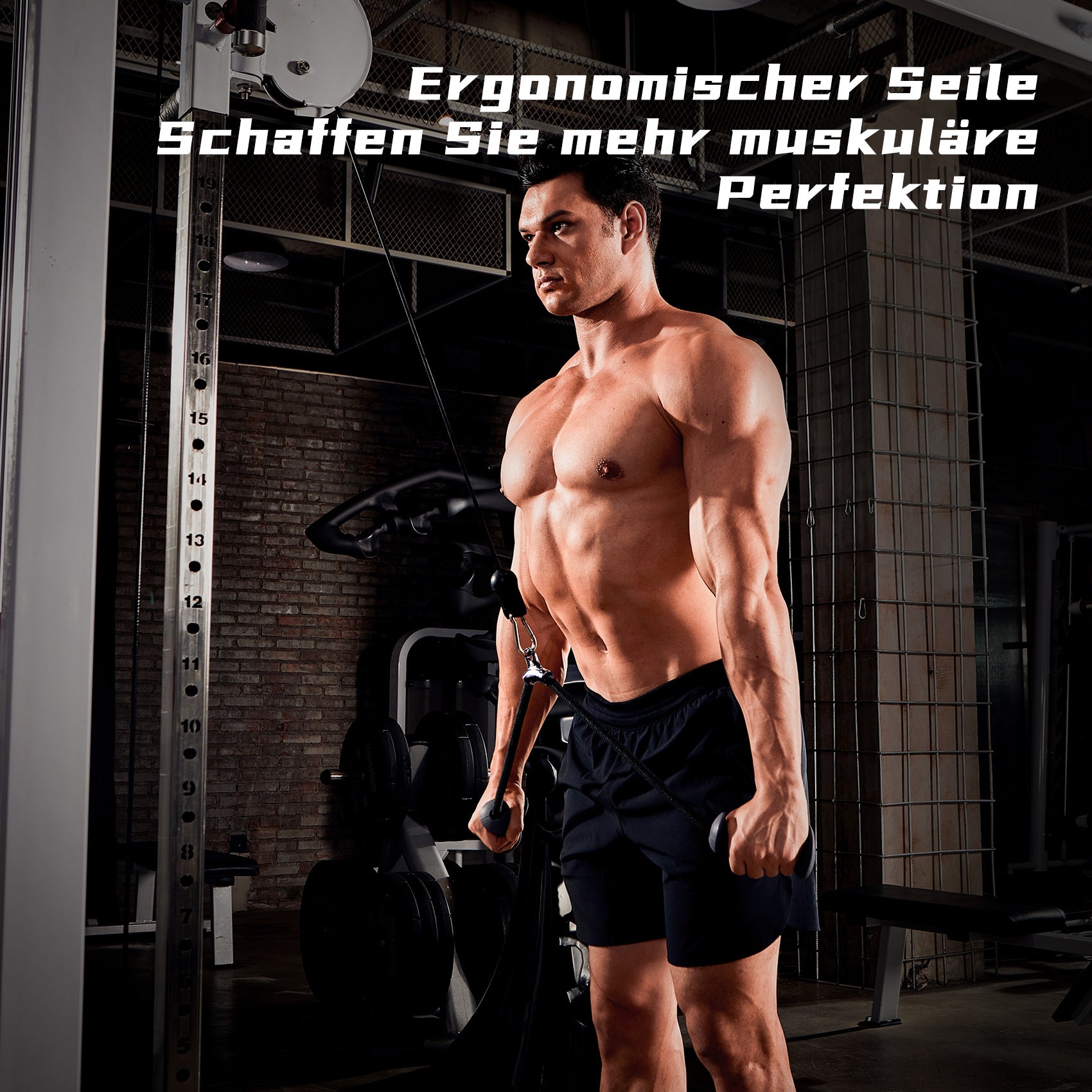 JASPORT ER2 Corde de Triceps Ergonomique (Noir)